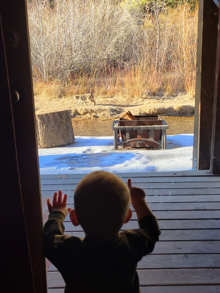 Streamside Retreat on the River with and AC