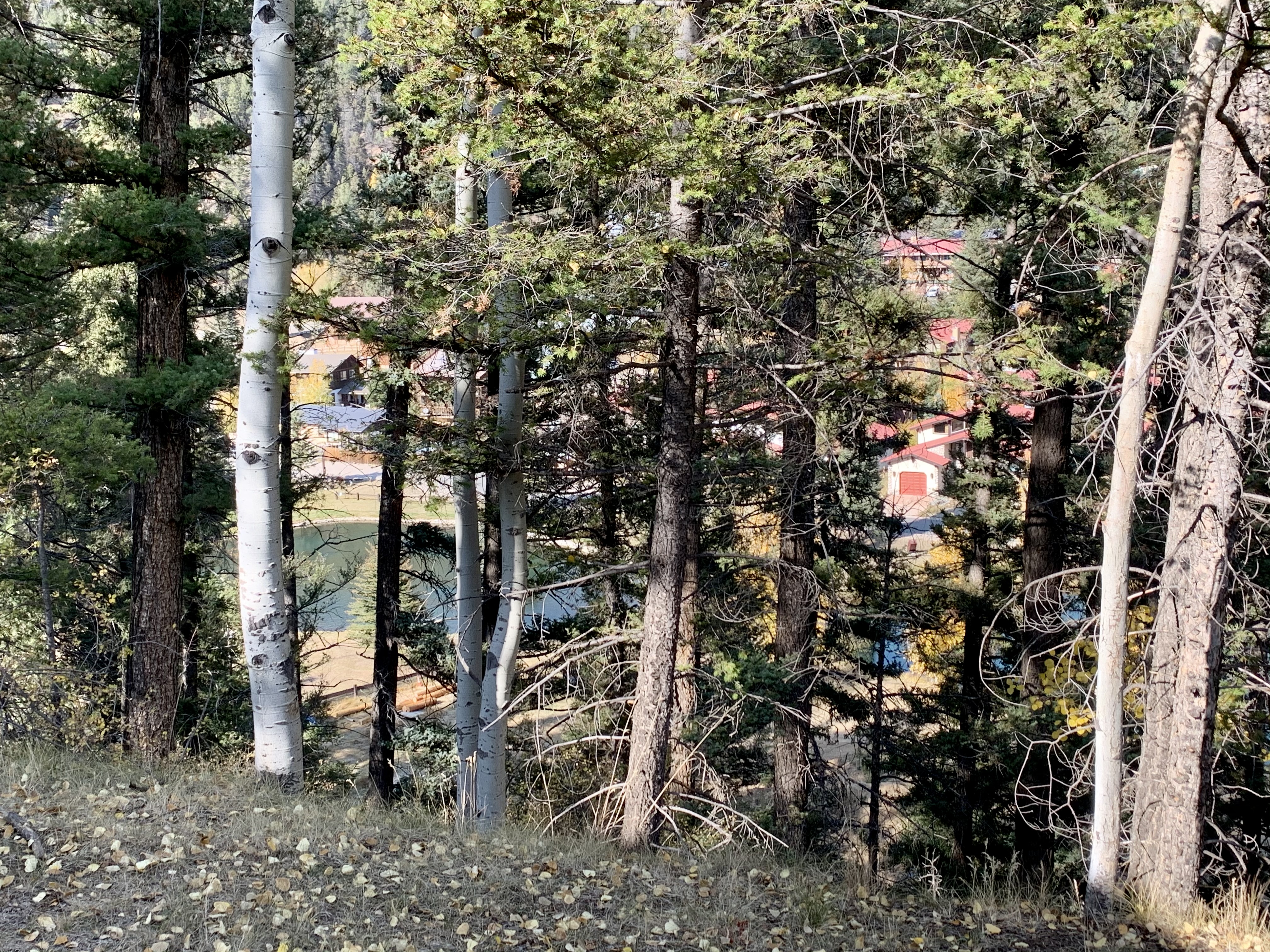 Rocky Top Vista Log Cabin with High Speed Wifi