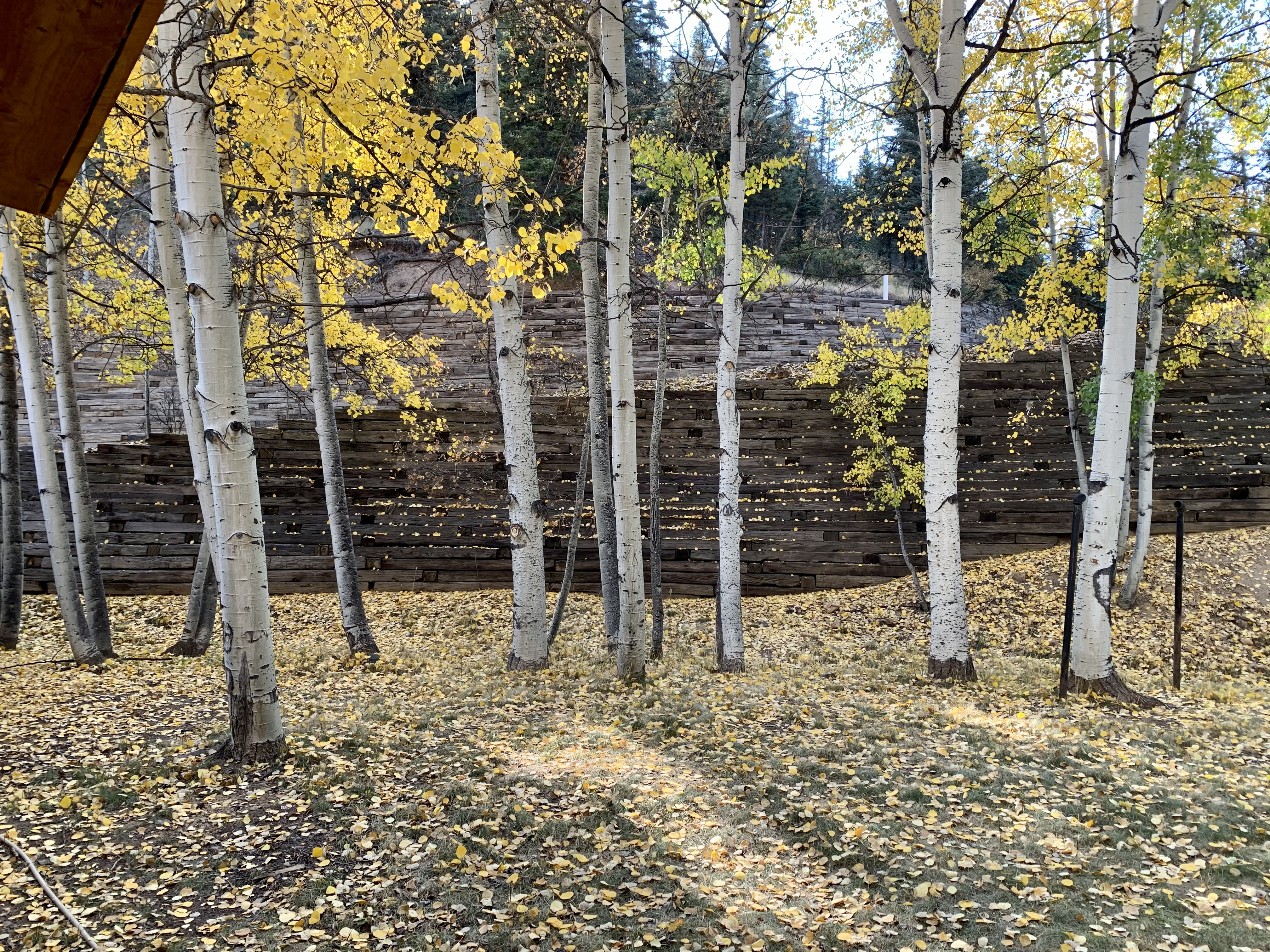 Rocky Top Vista Log Cabin with High Speed Wifi