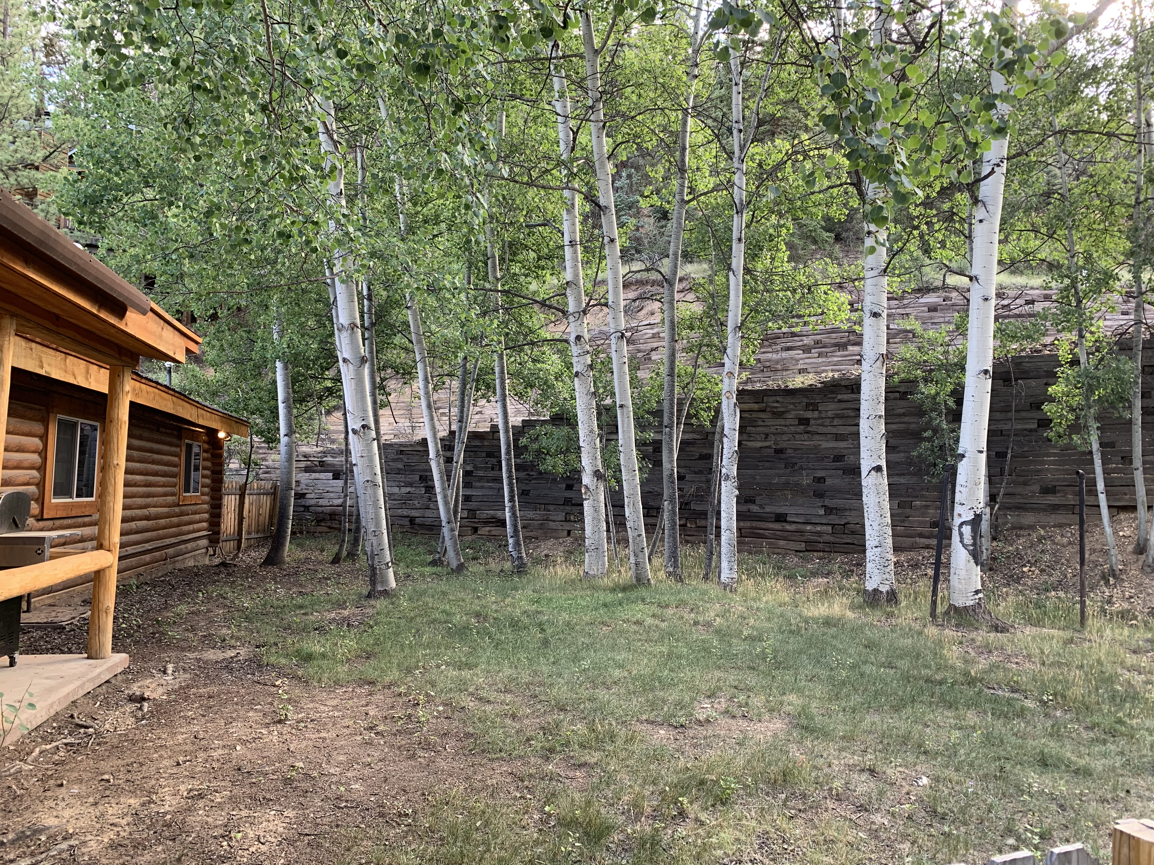 Rocky Top Vista Log Cabin with High Speed Wifi