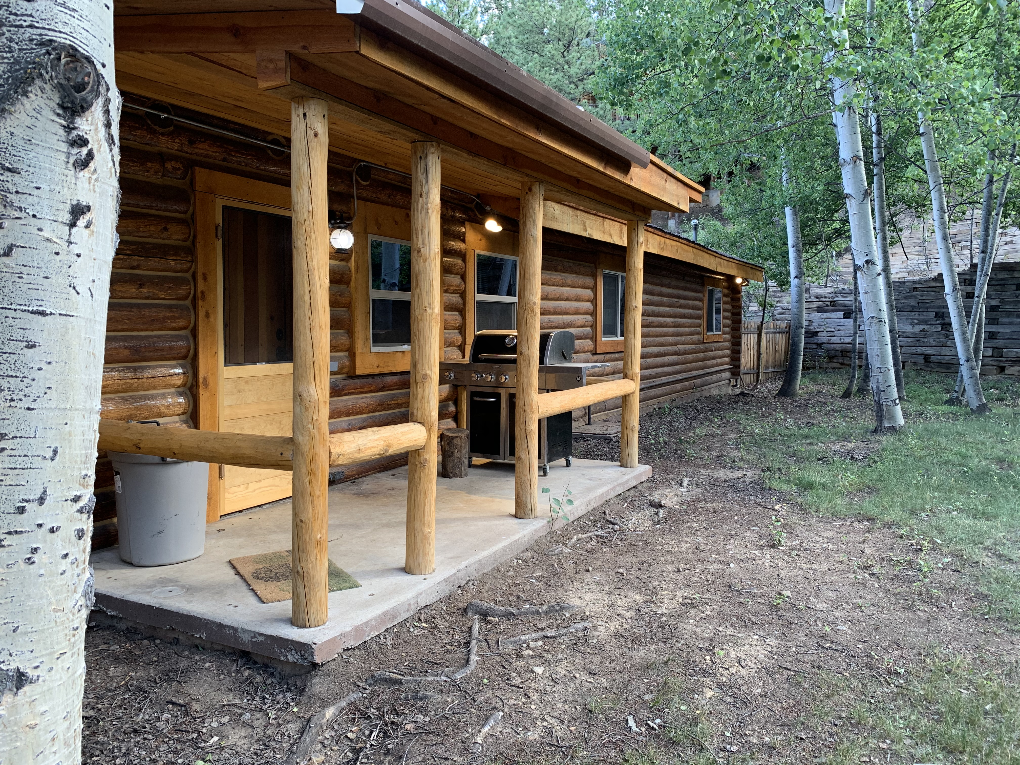 Rocky Top Vista Log Cabin with High Speed Wifi