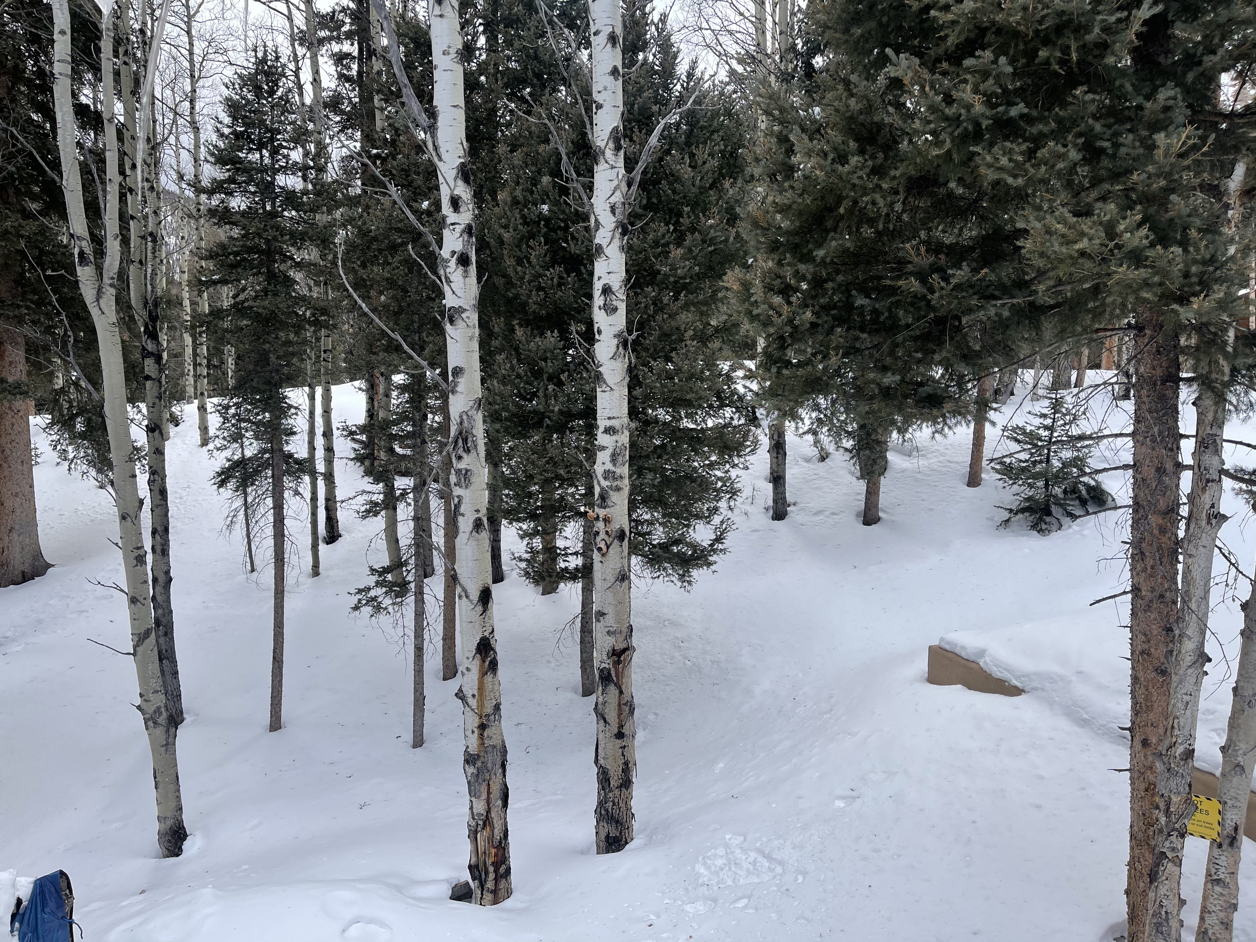 Casa de Cerezas in the Upper Valley with High Speed Wifi