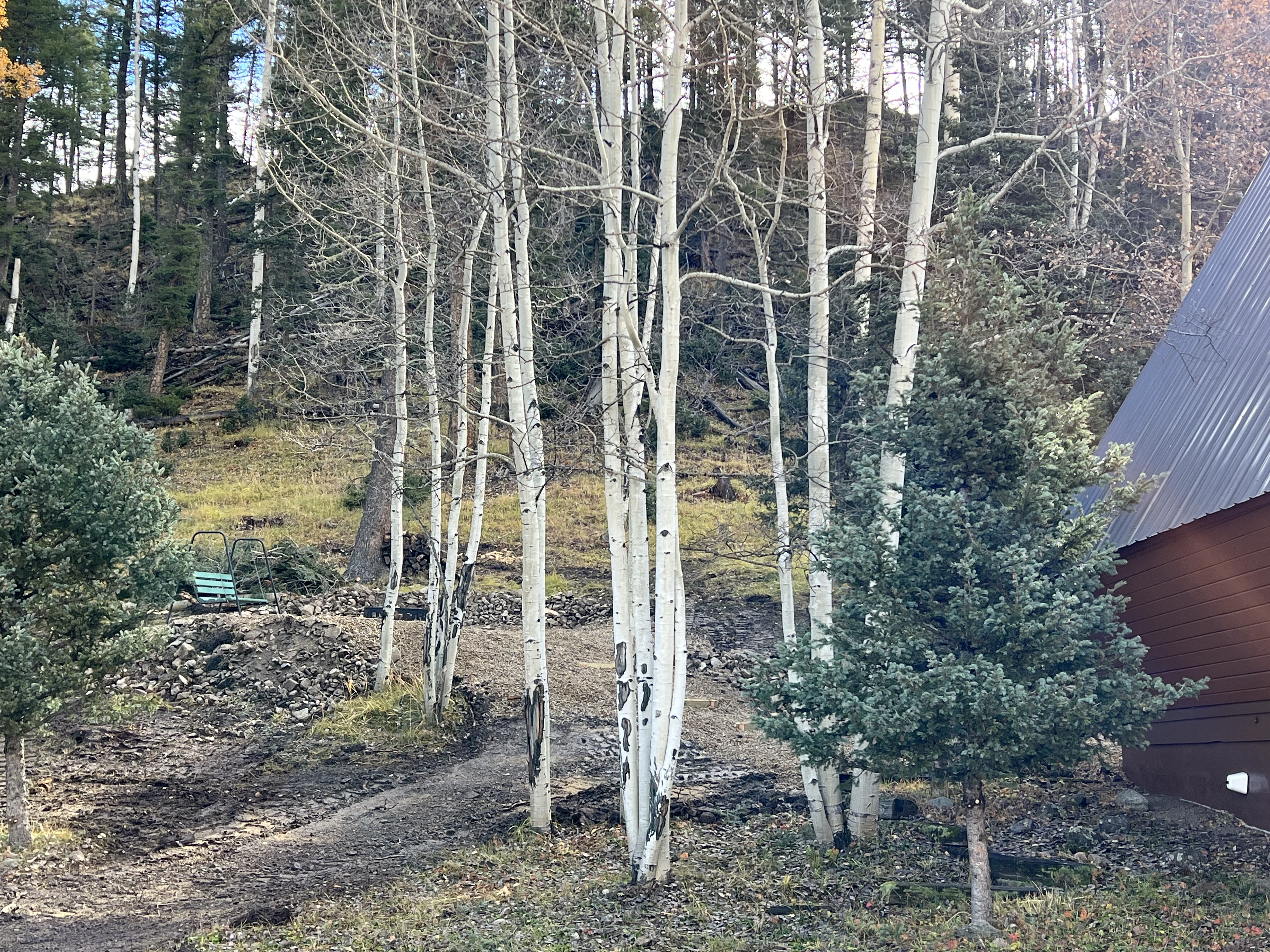 16 Whispering Pines A-Frame