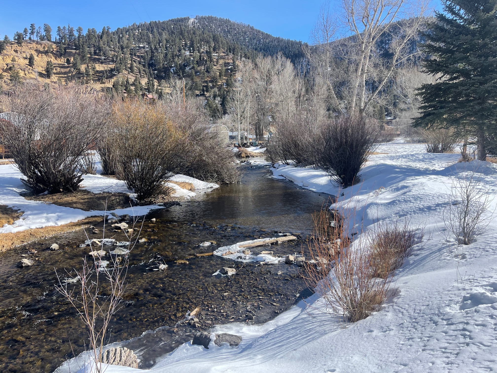 Cox Cabin on the River