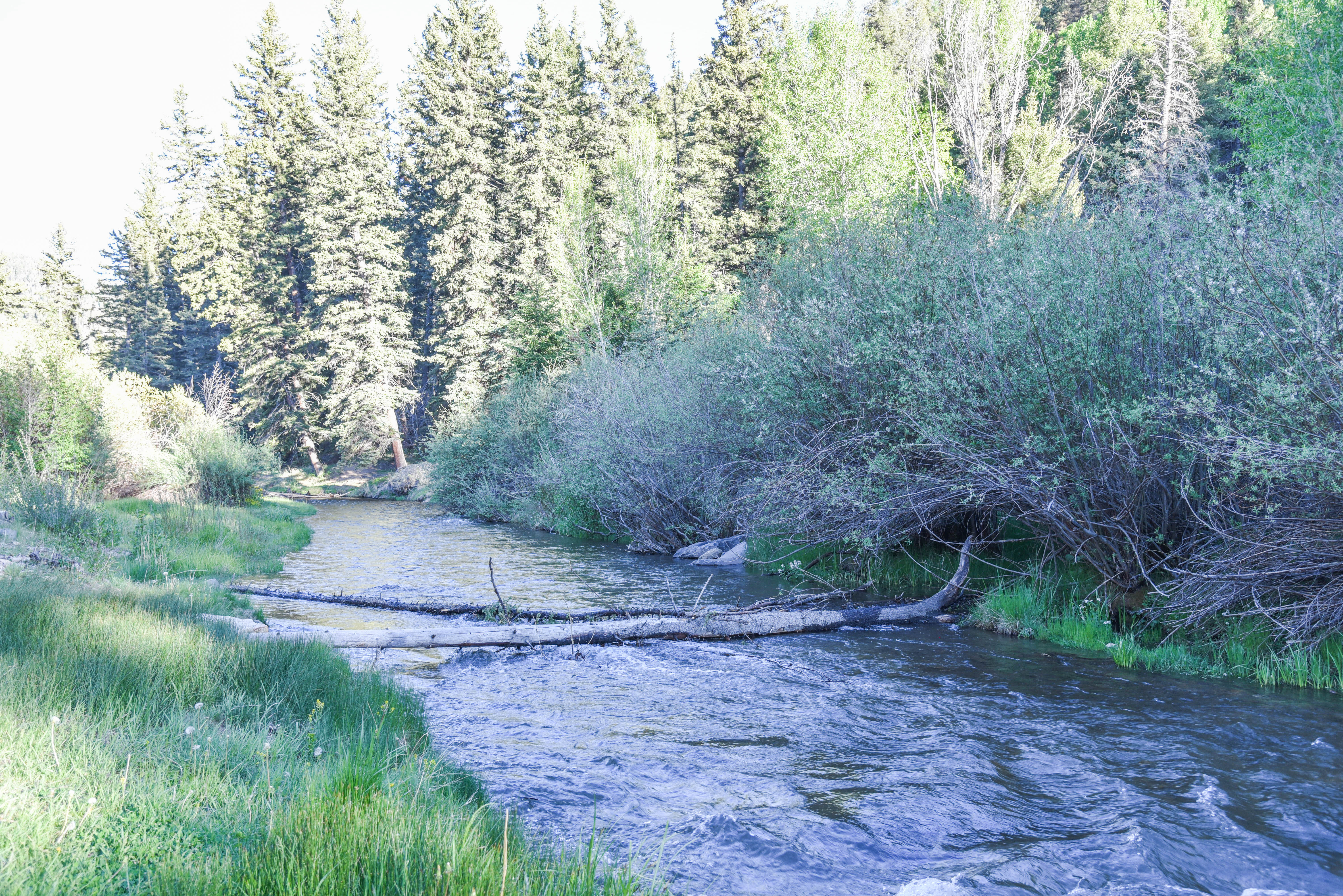 River Lyric Lodge in Red River
