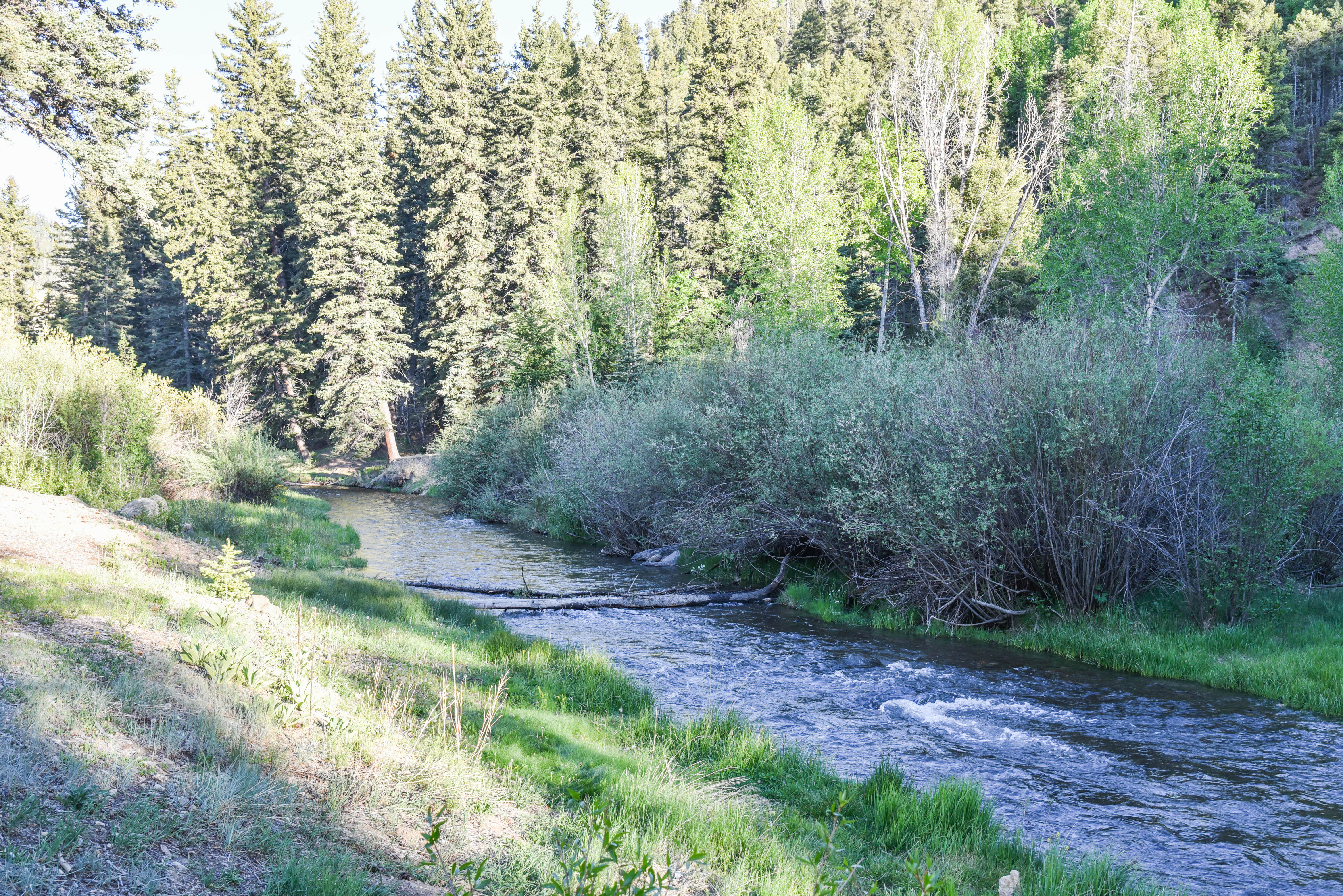 River Lyric Lodge in Red River