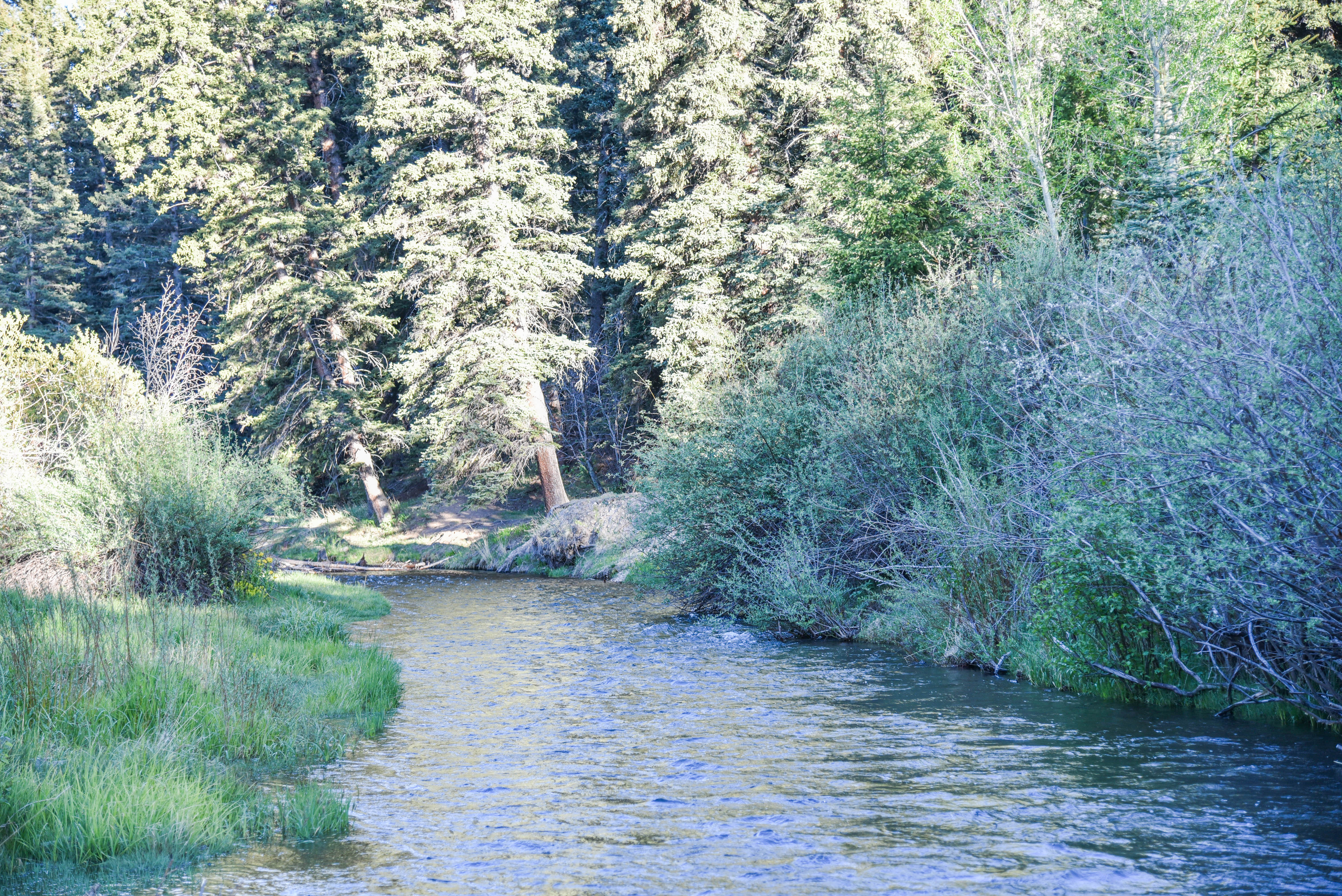 River Lyric Lodge in Red River
