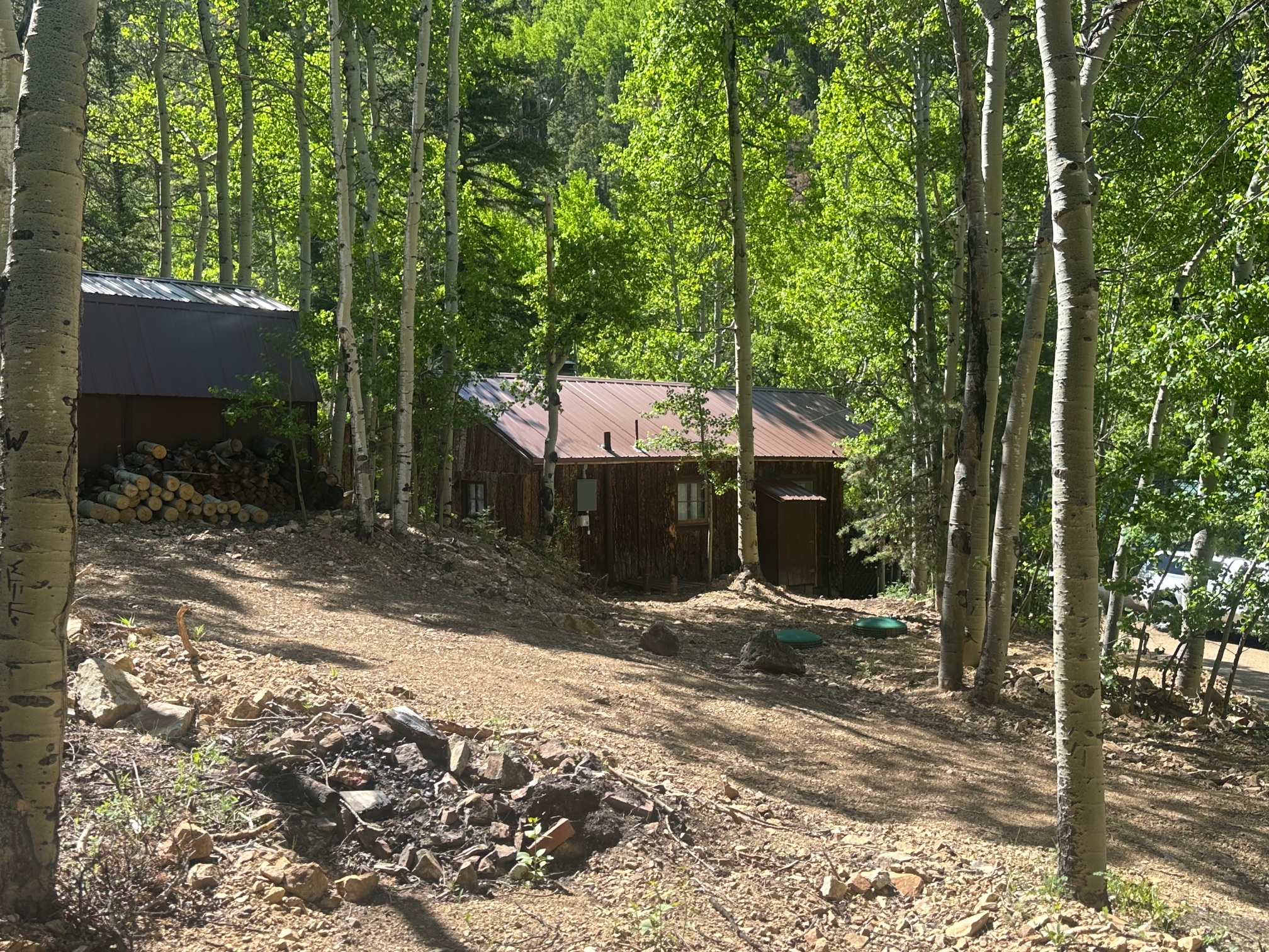 Brown Dog Cabin with High Speed Wifi and A/C