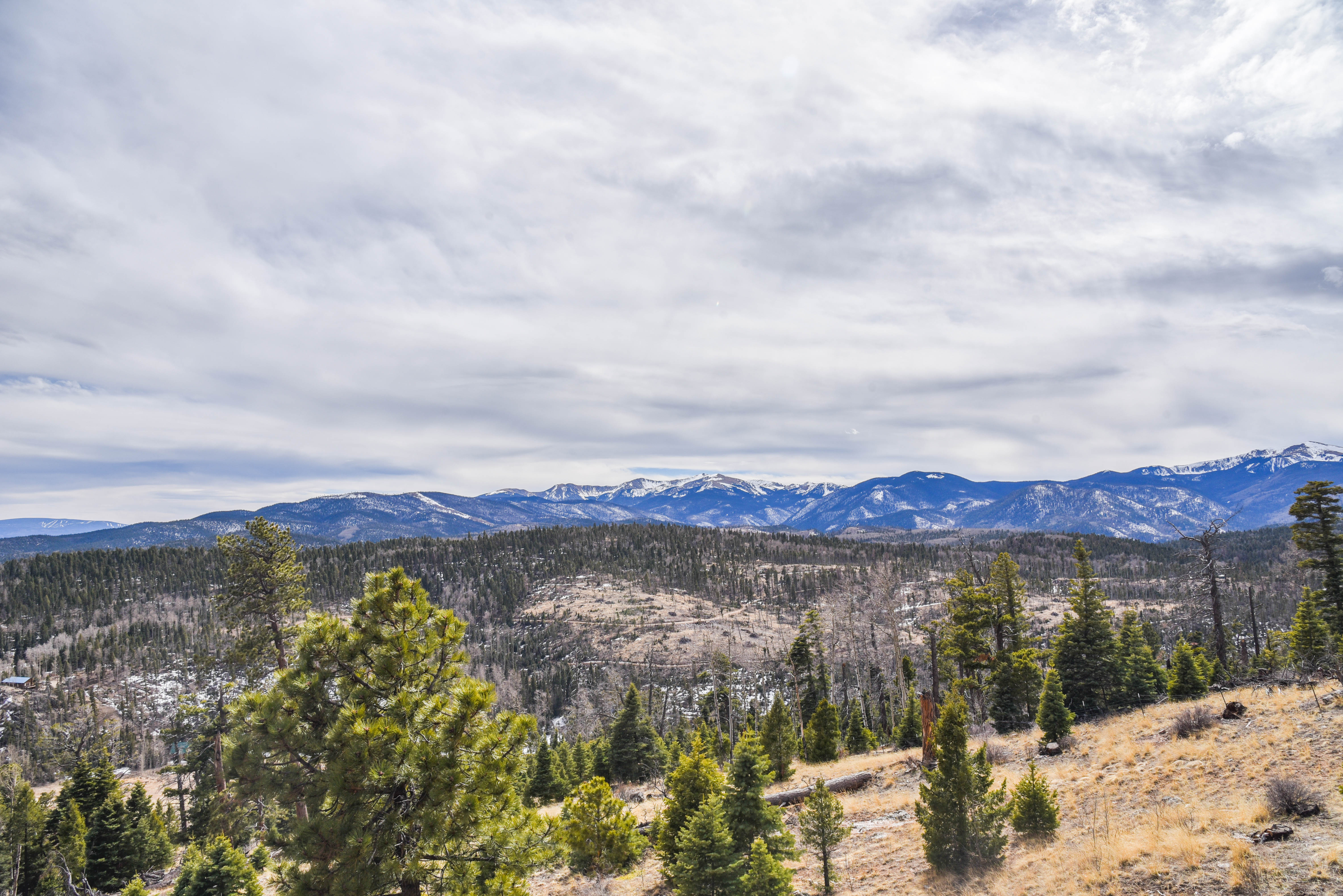 Bobcat Peak- Luxury home on Bobcat Pass