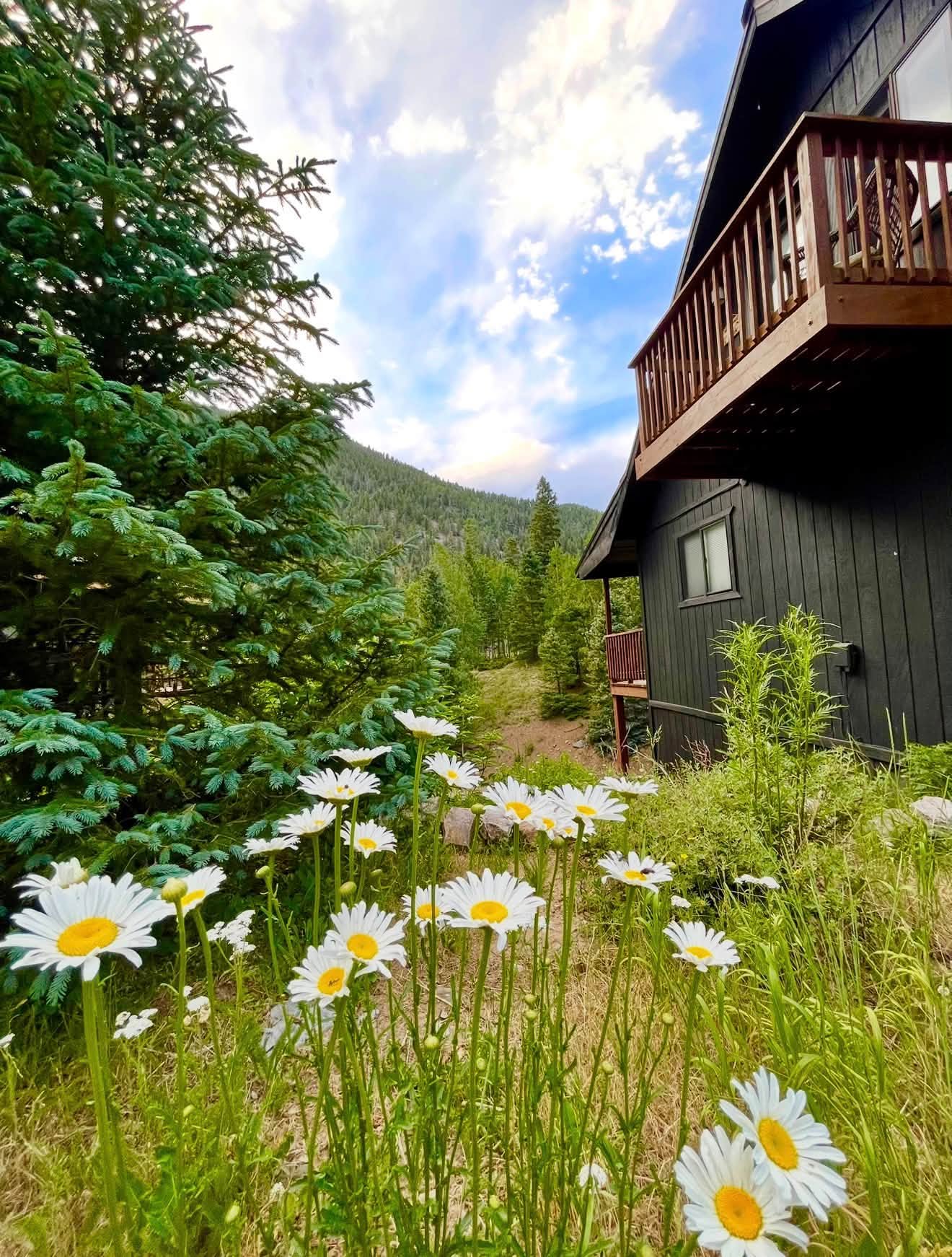 Black Diamond Chalet
