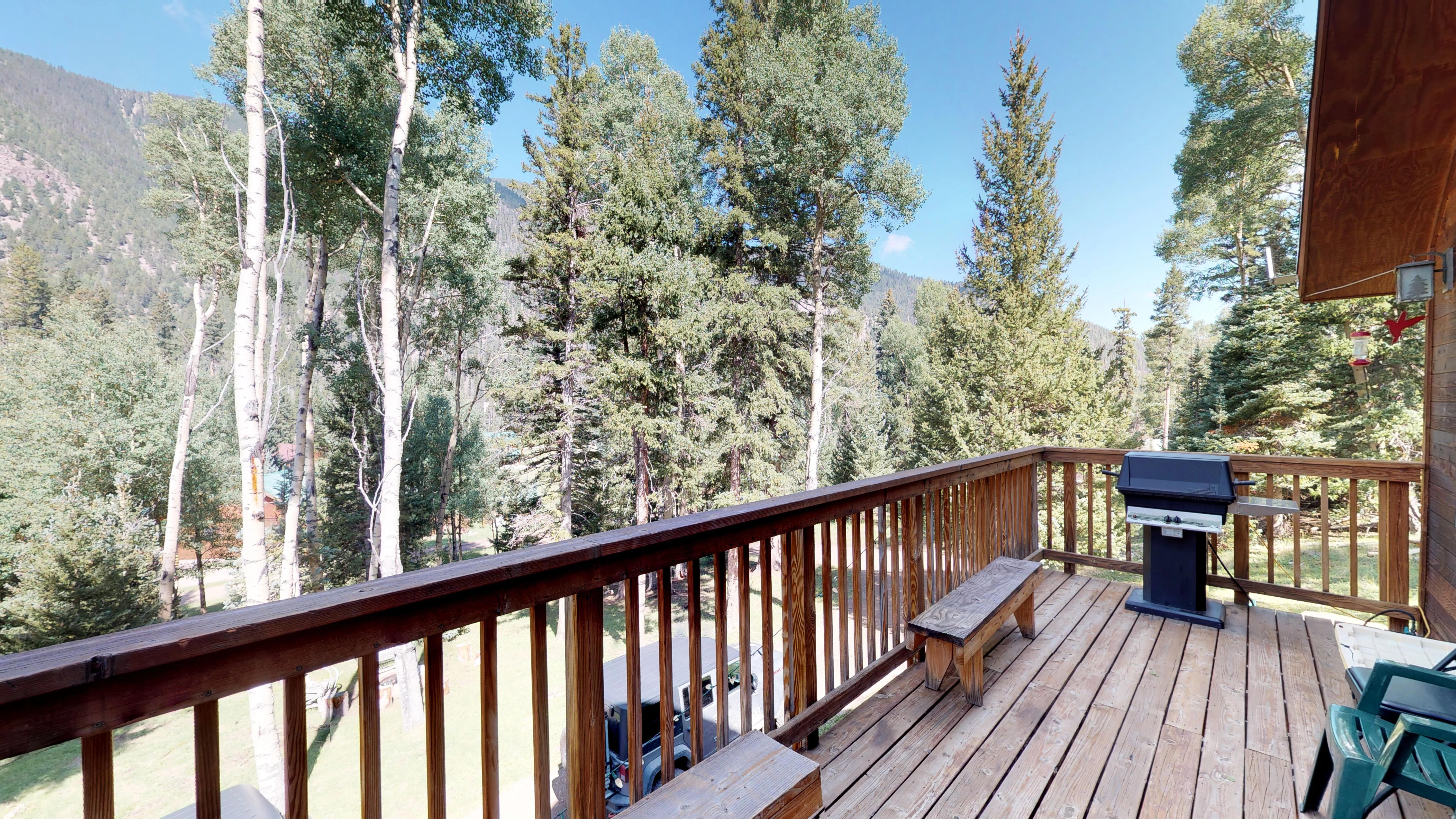 Balcony views with gas grill for BBQs