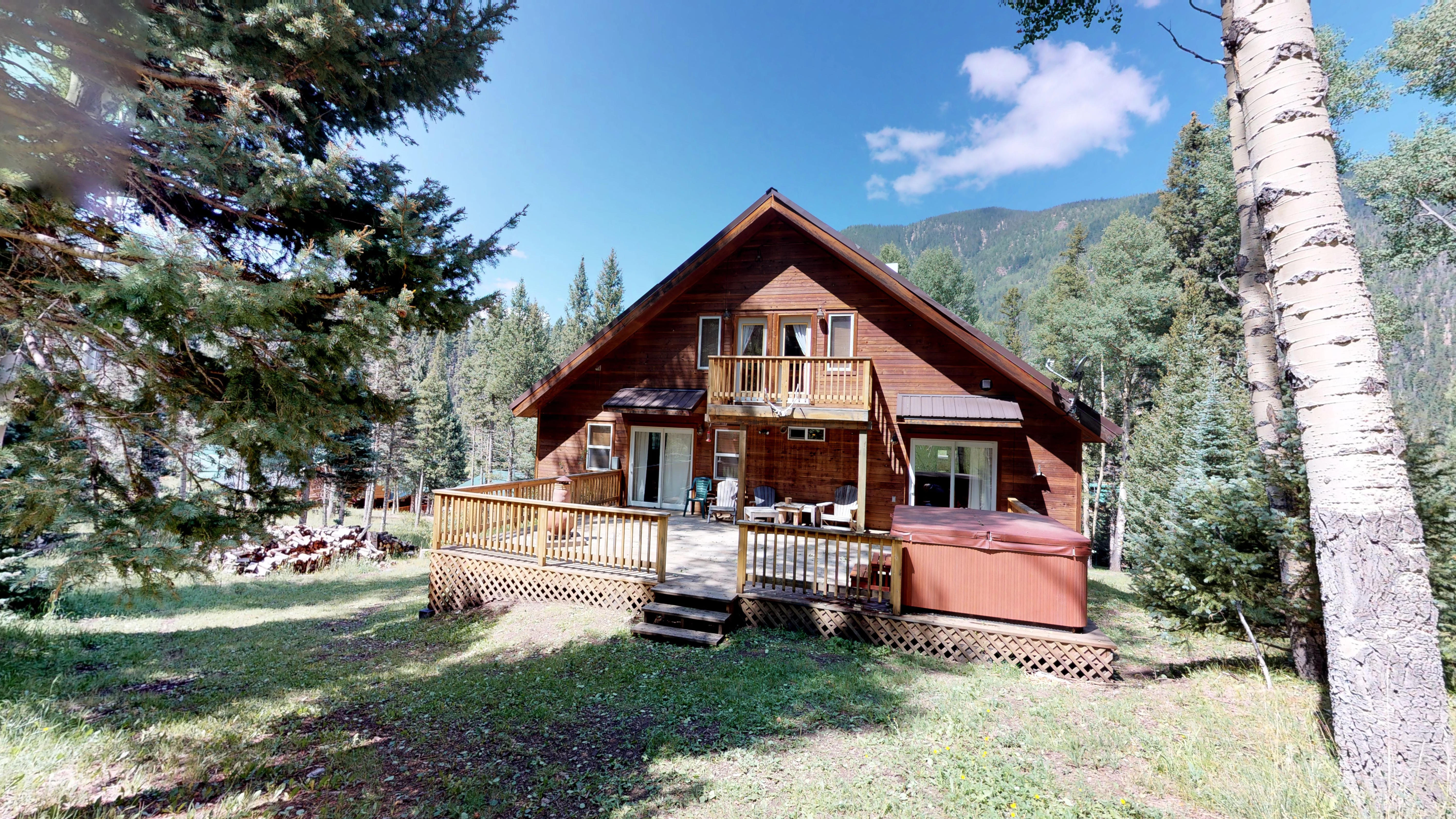 Big backyard for the kids to play in, along with a private hot tub and and fire pit