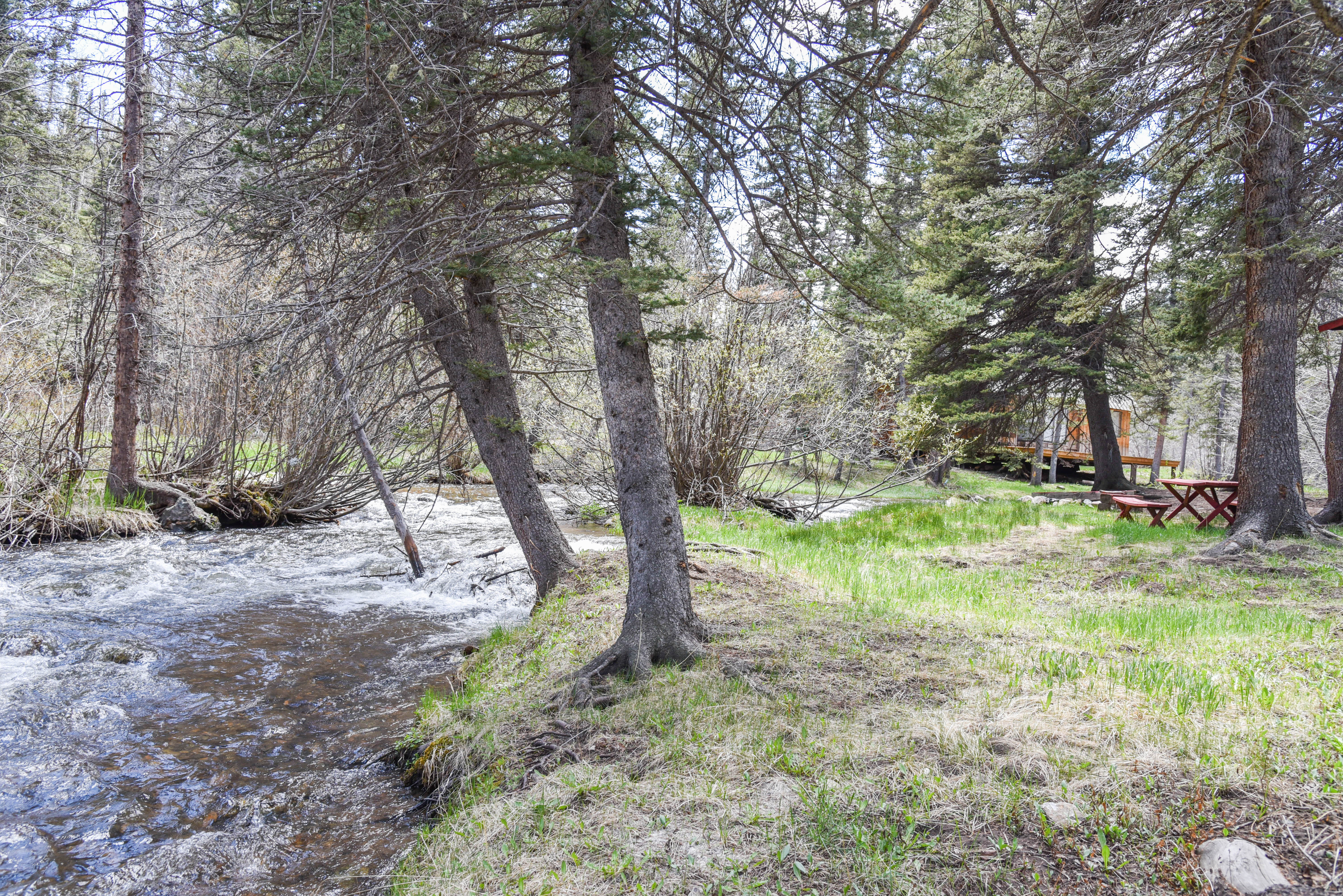 Bear Bait Cabin in Upper Valley With High Speed Wifi