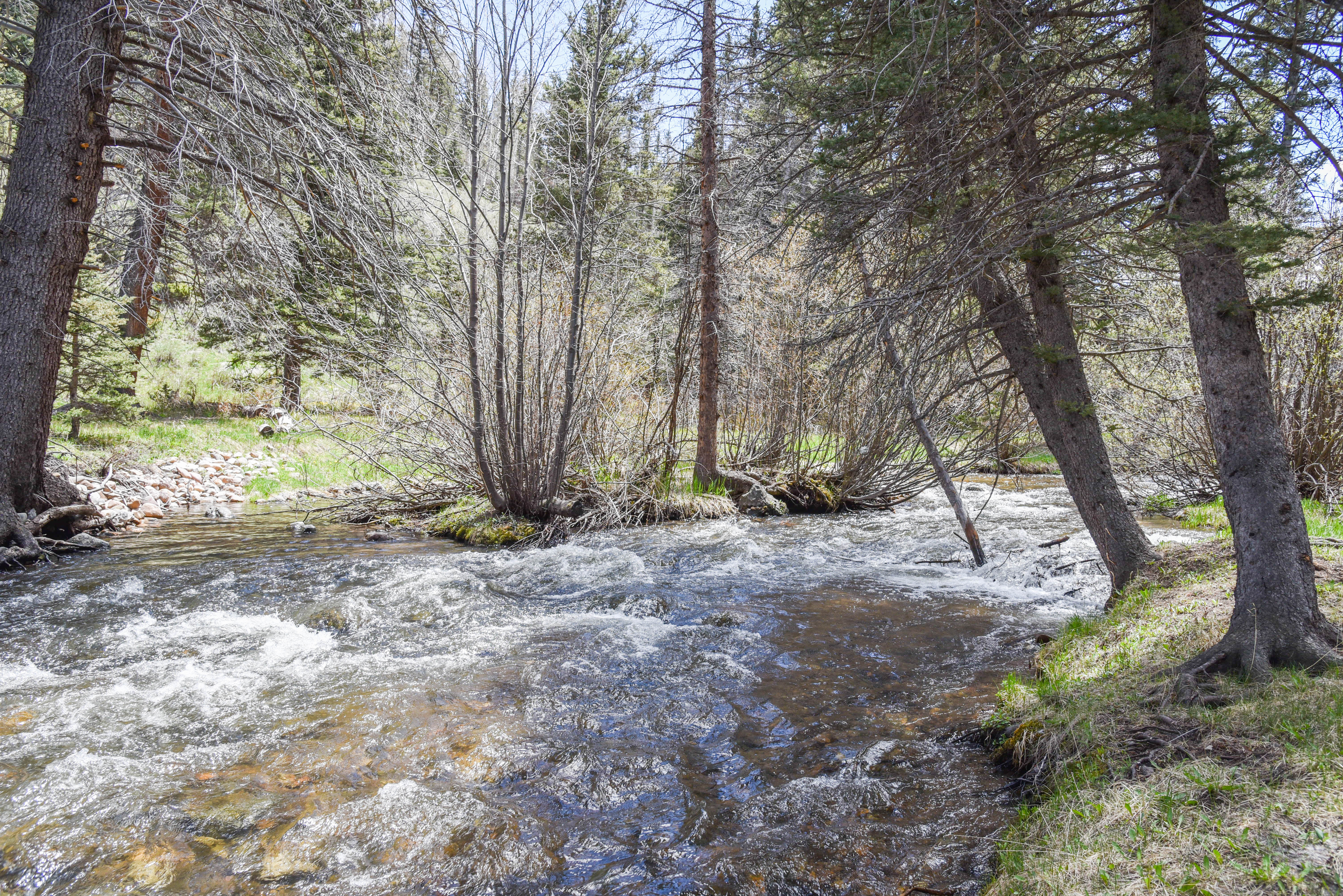 Bear Bait Cabin in Upper Valley With High Speed Wifi