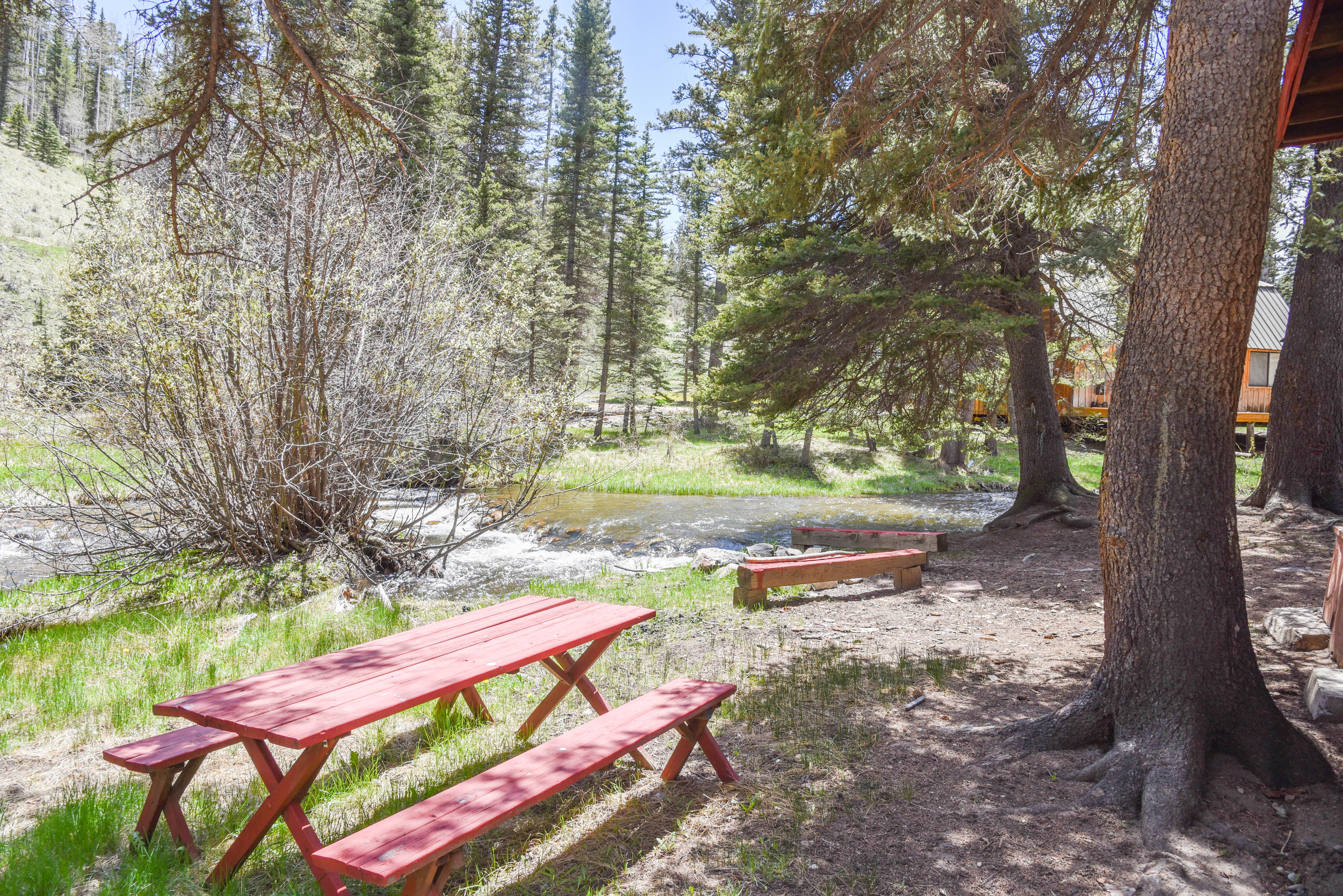 Bear Bait Cabin in Upper Valley With High Speed Wifi