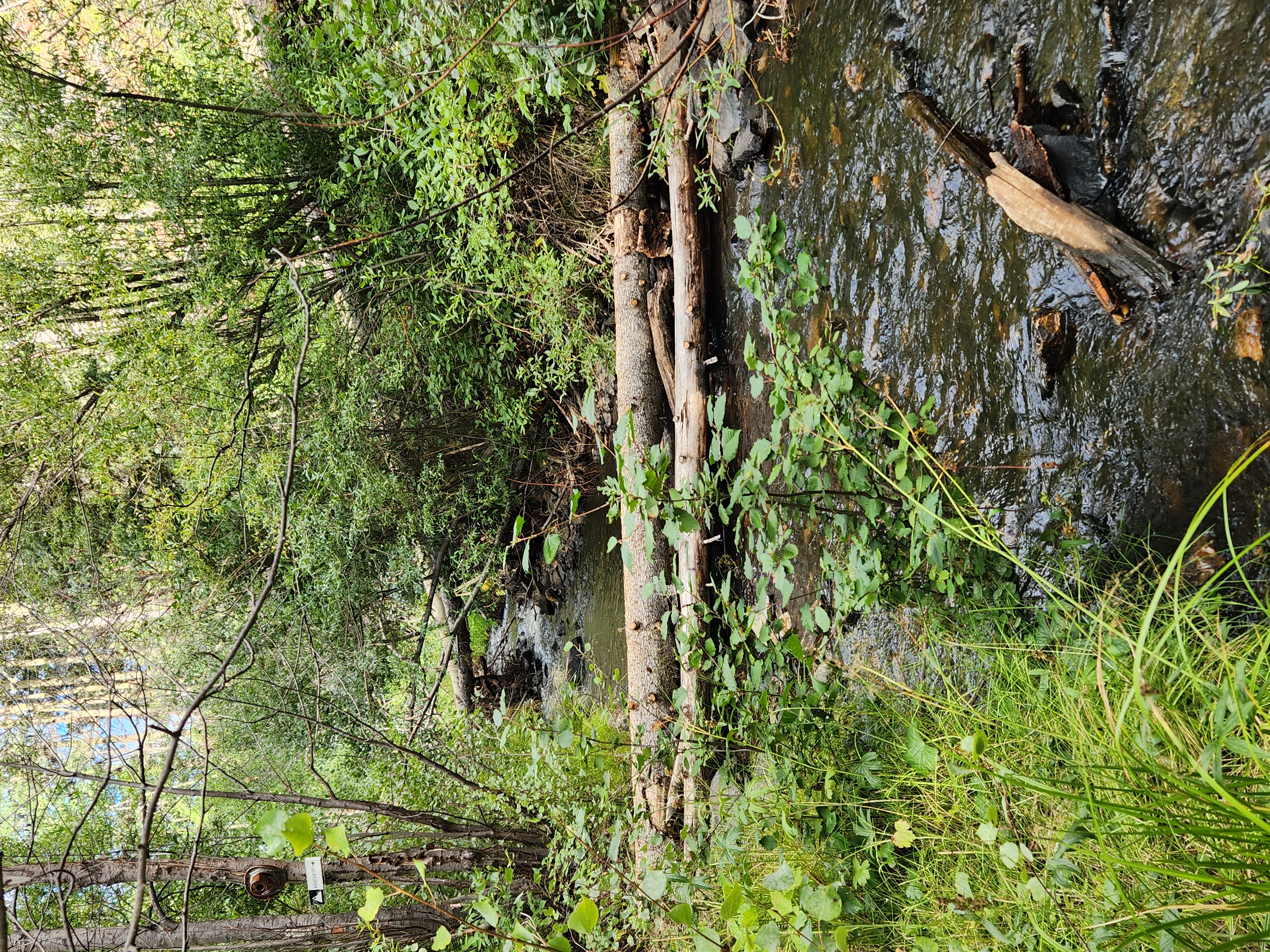 Cabin by the Creek with High Speed Wifi