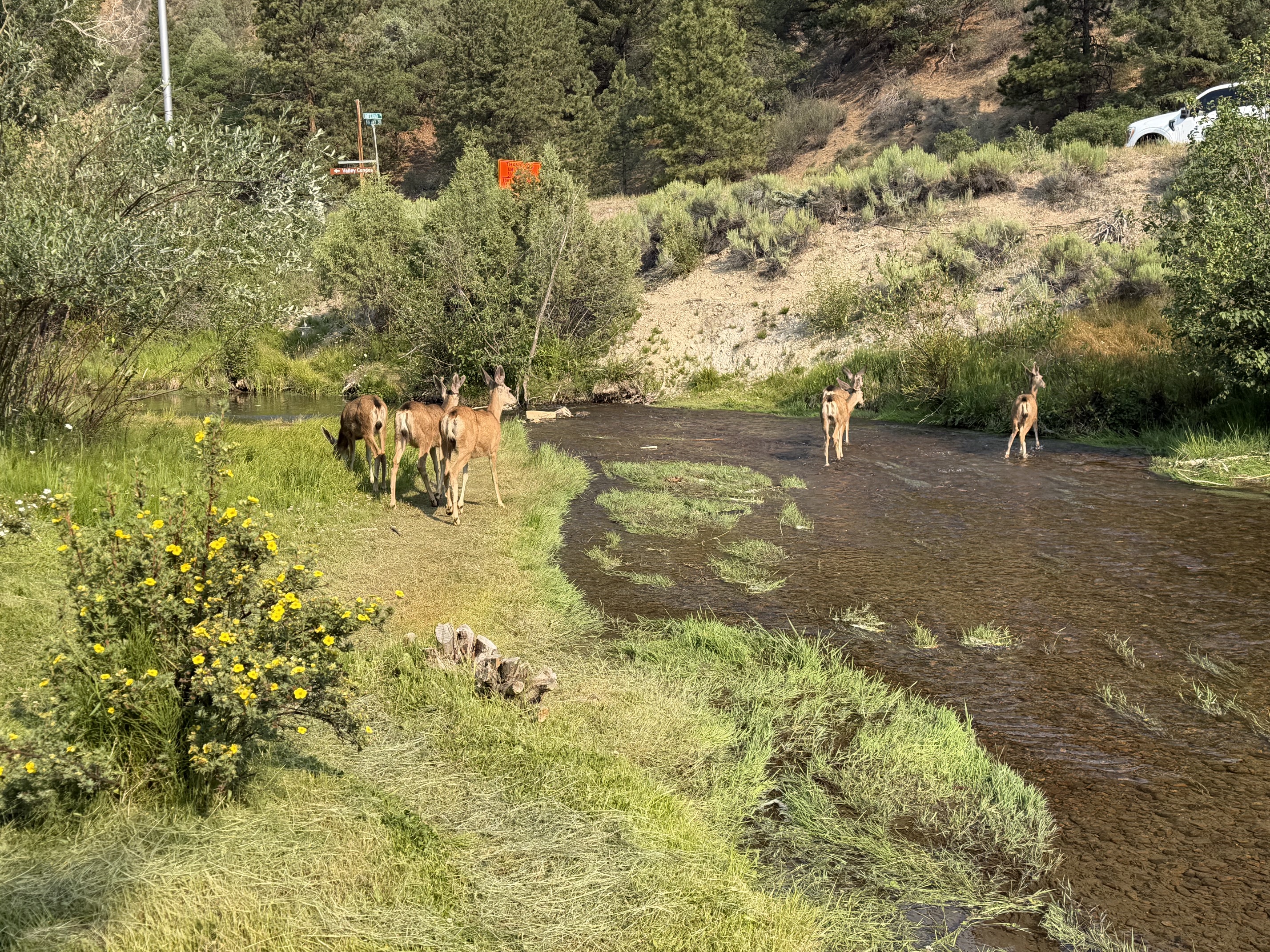 Peaceful Rivers Edge on Tenderfoot 