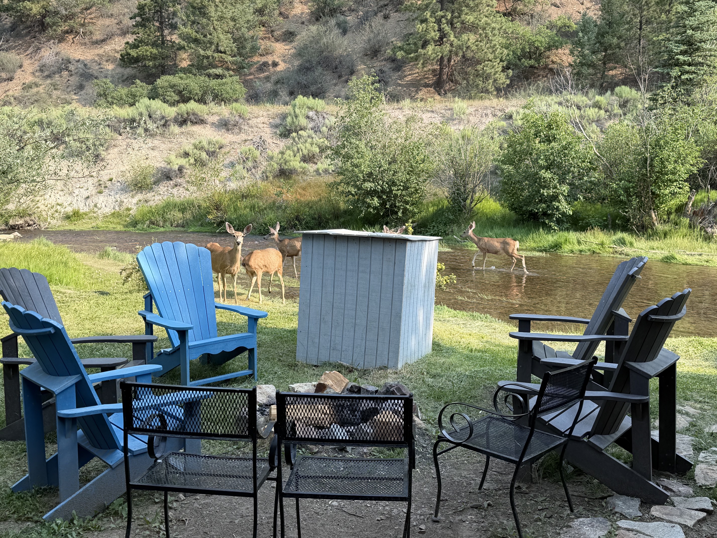 Peaceful Rivers Edge on Tenderfoot 