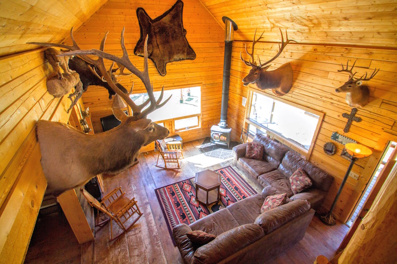 Wiggin's Cabin in Upper Valley with High Speed Wifi